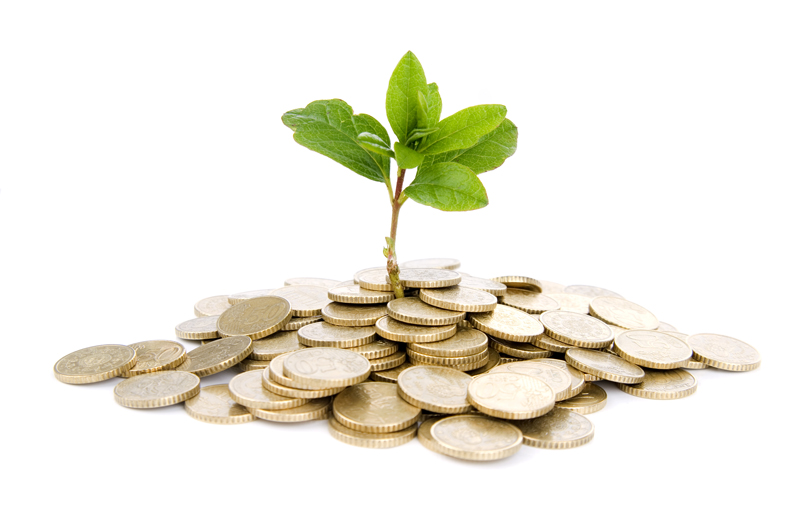 Coins and plant, isolated on white background